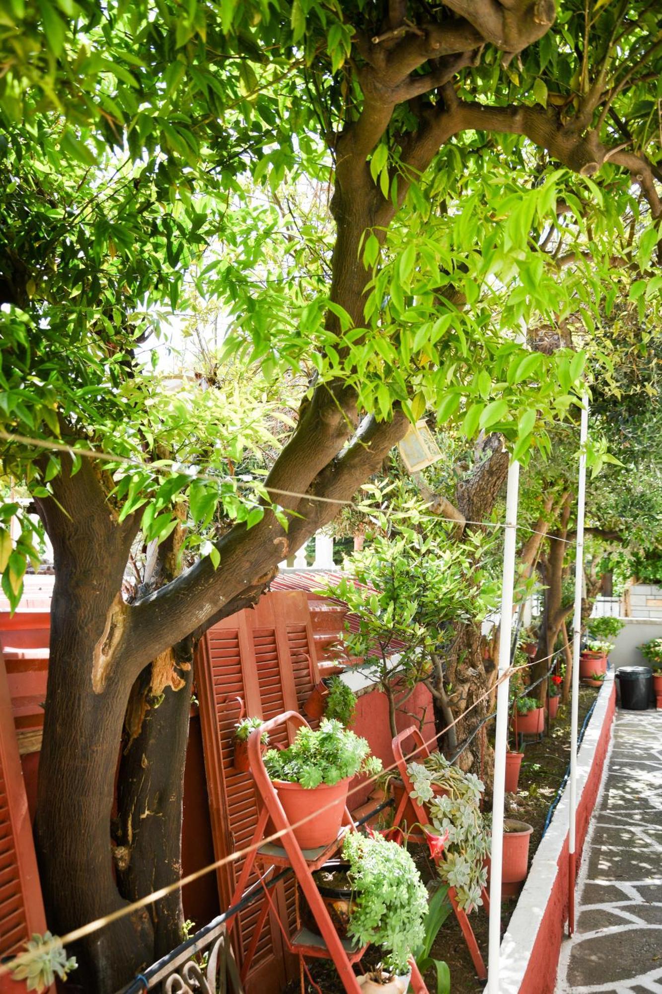 Rent House Daphne Διαμέρισμα Καβάλα Εξωτερικό φωτογραφία
