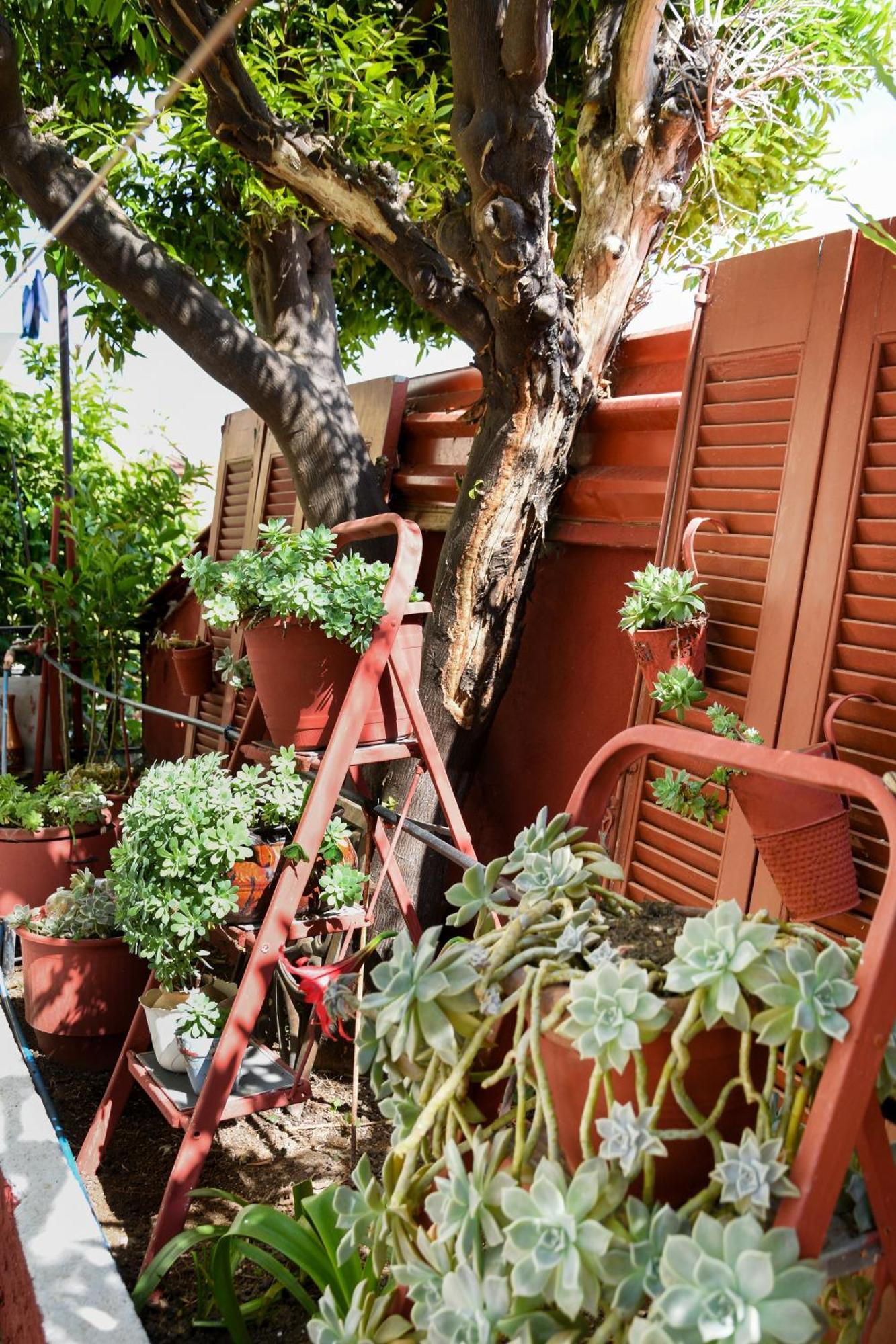 Rent House Daphne Διαμέρισμα Καβάλα Εξωτερικό φωτογραφία