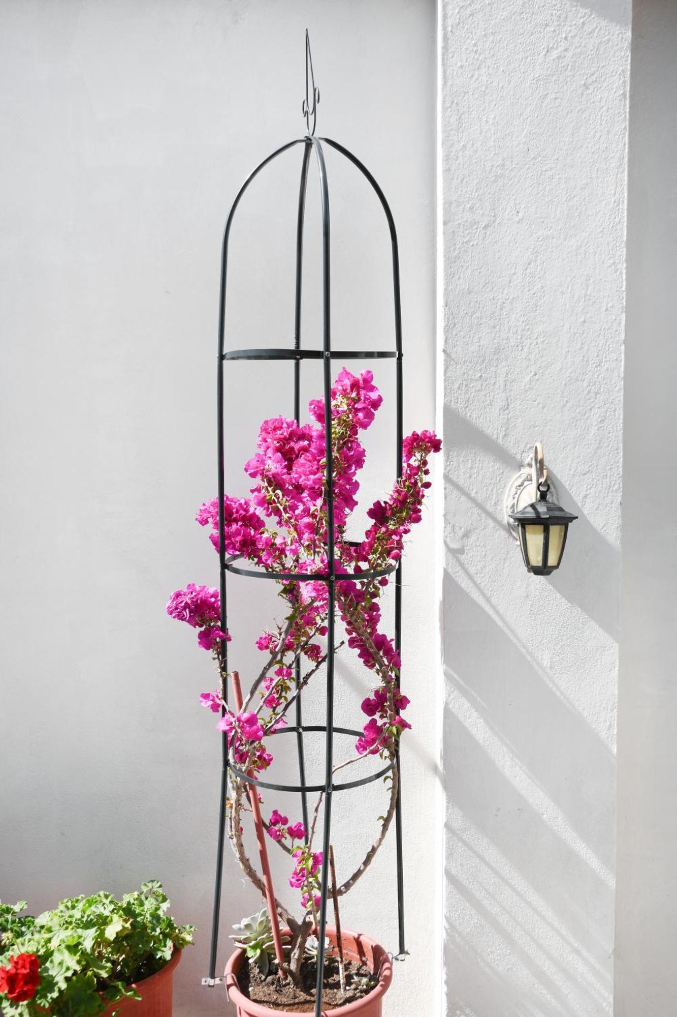 Rent House Daphne Διαμέρισμα Καβάλα Εξωτερικό φωτογραφία